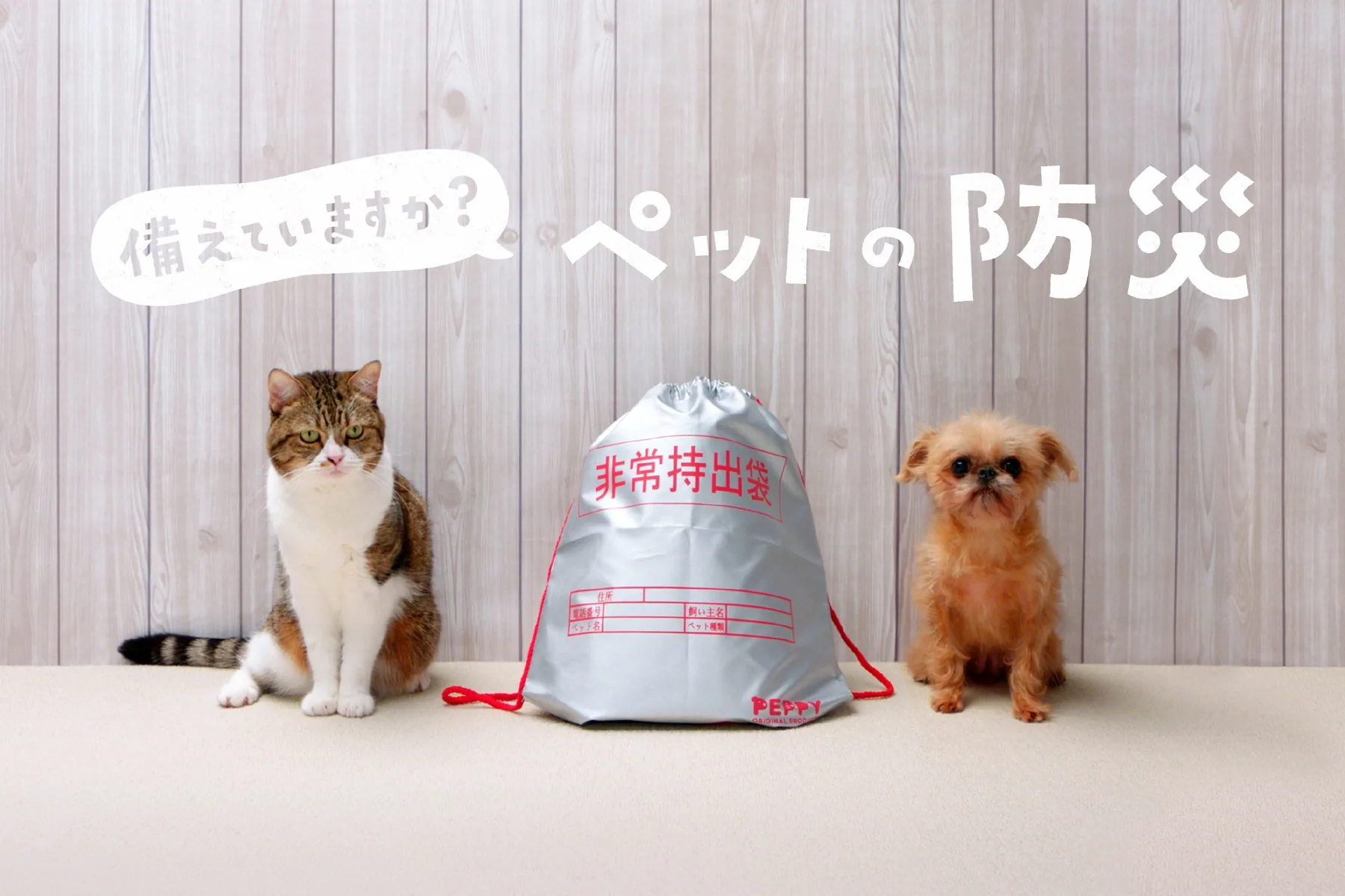 PetLover: Pet Bosai (Disaster Prevention) Campaign